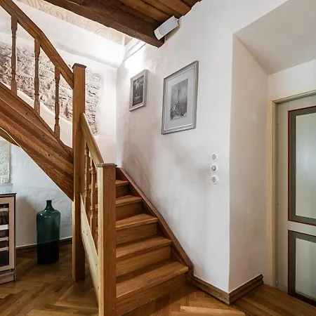 Airhome - Tree Spirit 탈린