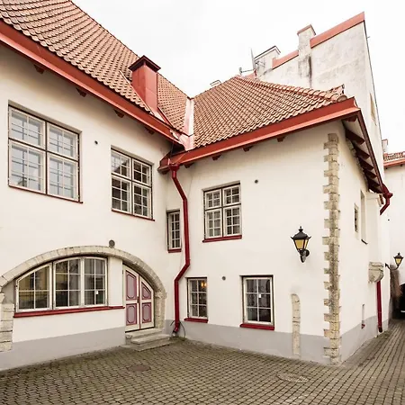 Airhome - Tree Spirit タリン