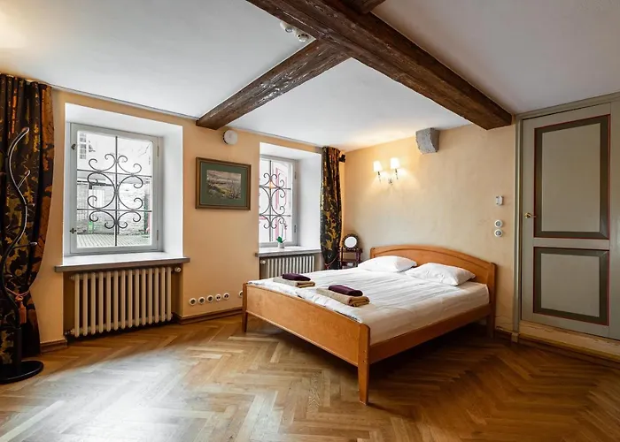 Airhome - Tree Spirit 公寓 塔林