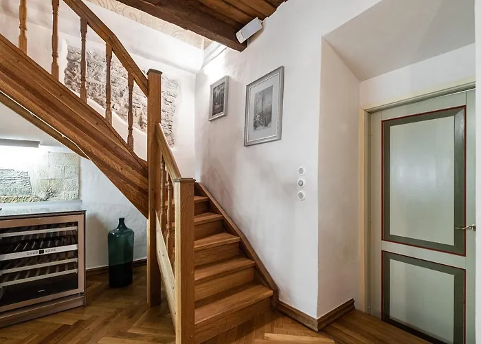 Airhome - Tree Spirit 塔林